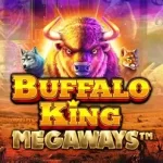 Buffalo King