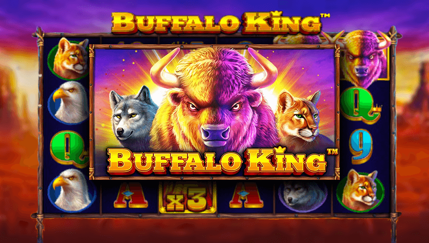 How to play Buffalo King online
