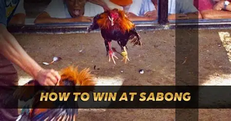 PIN8 Sabong: The Digital Evolution of Philippine Cockfighting