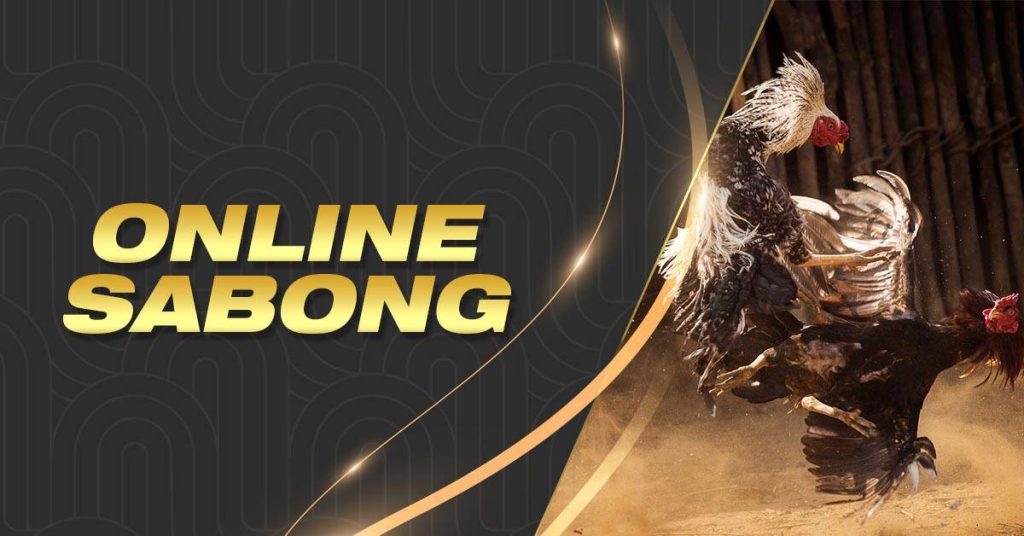 PIN8 Sabong: The Digital Evolution of Philippine Cockfighting